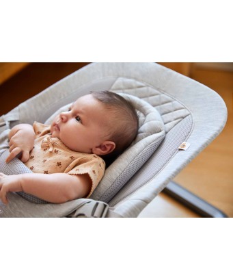 Ergobaby Hamaca Evolve + Reductor + 3 Posiciones para bebés