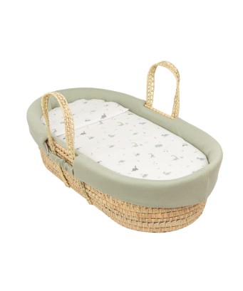 Colcha y Almohada moisés Trex