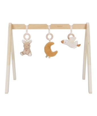 Gimnasio para bebés Newborn Little Dutch